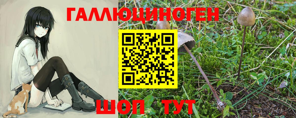 A PVP Сальск