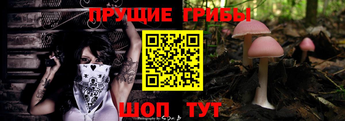 Псилоцибиновые грибы мухоморы  Вход с VPN  Сальск 